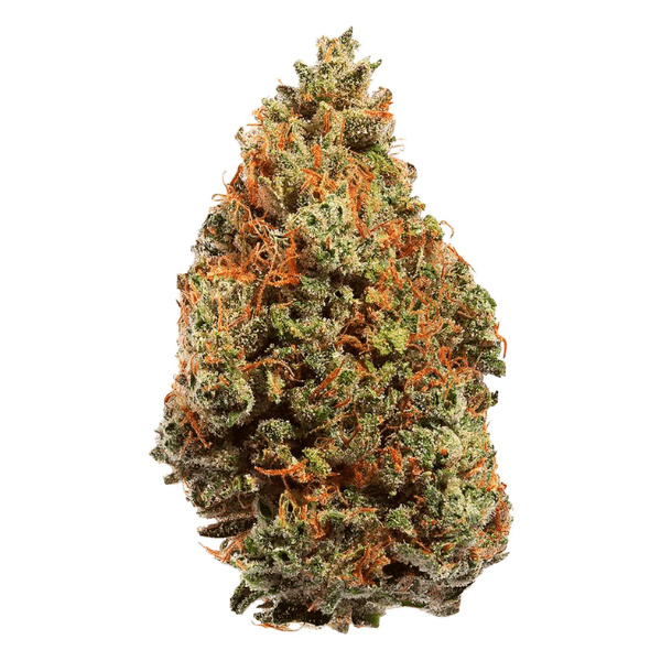 Dried Cannabis - SK - Doja Okanagan Grown Cold Creek Kush Flower - Format: - Doja