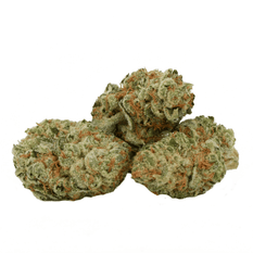 Dried Cannabis - SK - Highly Dutch Organic Middelburg Flower - Format: - Highly Dutch Organic
