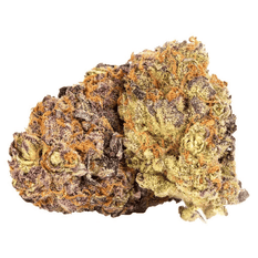 Dried Cannabis - SK - Table Top Purple Punch Flower - Format: - Table Top