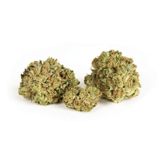 Dried Cannabis - SK - Broken Coast Savary Pink Kush Flower - Format: - Broken Coast
