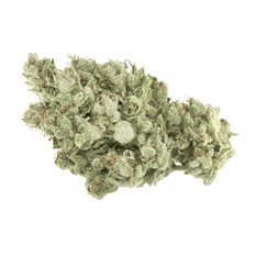 Dried Cannabis - SK - Tantalus Labs Coastal Sage Flower - Format: - Tantalus Labs