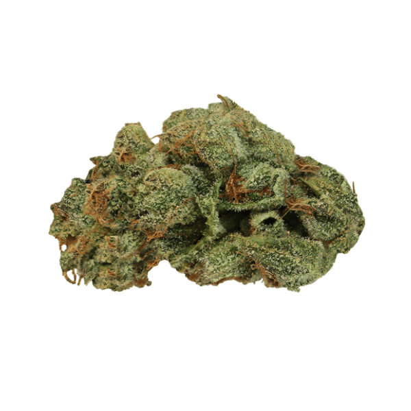 Dried Cannabis - SK - Tweed Royal Dankness Flower - Format: - Tweed