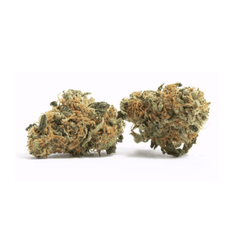 Dried Cannabis - MB - OUEST Peyote Wifi Flower - Format: - OUEST