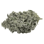 Dried Cannabis - SK - Tantalus Labs Sunset Sherbert Flower - Format: - Tantalus Labs