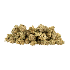 Dried Cannabis - MB - B!NGO Indica Flower - Format: - B!NGO