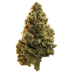 Dried Cannabis - AB - Edison Lola Montes Flower - Grams: - Edison