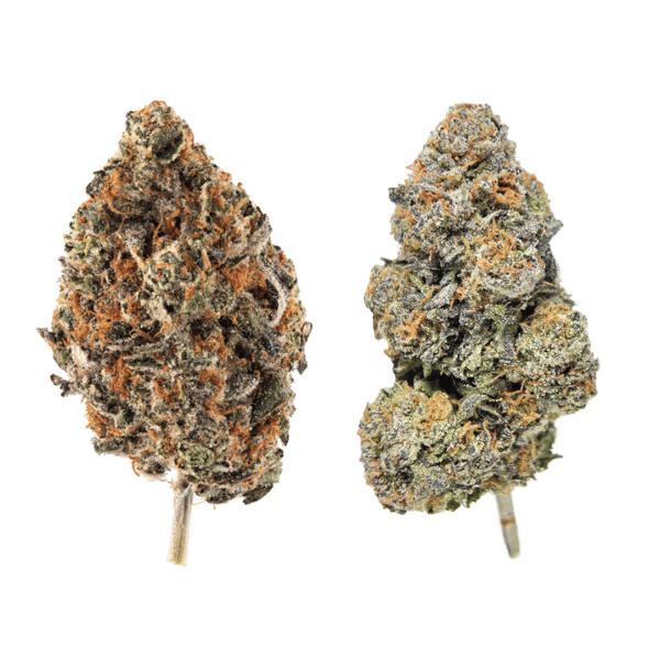 Dried Cannabis - SK - Ripe Flower Red Bullz & Menta Fina Multi Pack ...