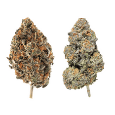 Dried Cannabis - SK - Ripe Flower Red Bullz & Menta Fina Multi Pack Flower - Format: - Ripe Flower