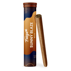 Dried Cannabis - SK - Fuego Sunny Blaze Blunt Pre-Roll - Format: - Fuego