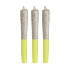 Extracts Inhaled - MB - Highly Dutch Organic Amsterdam N'Gold Hash Infused Infused Pre-Roll - Format: - Highly Dutch Organic