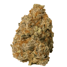 Dried Cannabis - MB - Silky Continental Cross Bow Flower - Format: - Silky Continental