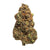 Dried Cannabis - SK - Doja Utopia Flower - Format: - Doja