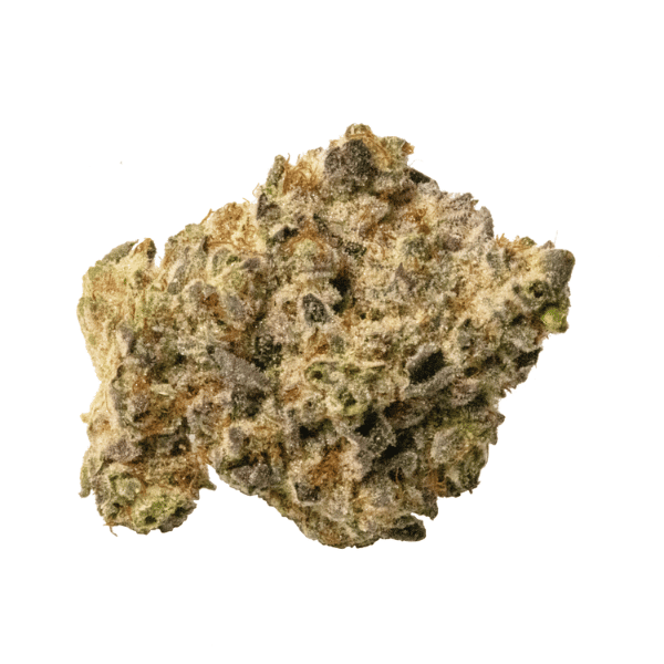 Dried Cannabis - MB - Silky Continental LA Wedding Pop Flower - Format: - Silky Continental