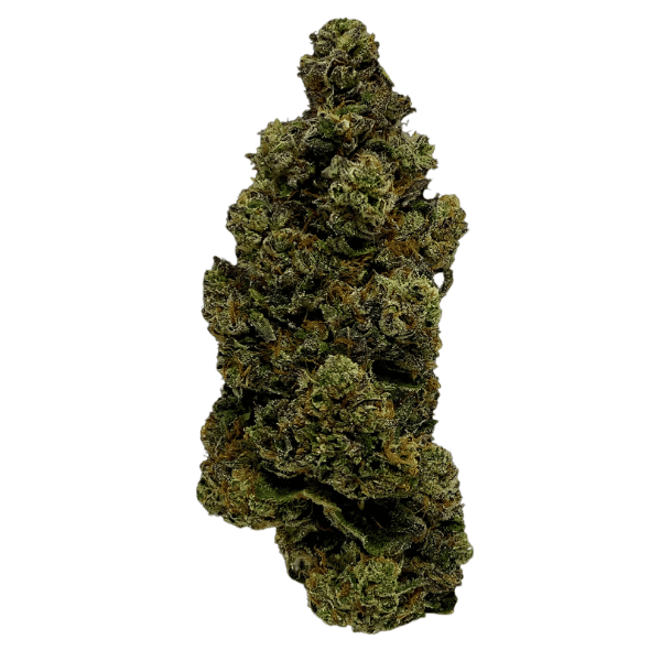 Dried Cannabis - SK - Ostara Long Valley Legend Flower - Format: - Ostara