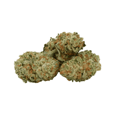 Dried Cannabis - SK - Talbe Top Durban Lime Flower - Format: - Table Top