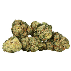 Dried Cannabis - MB - Table Top Sticky Buns Flower - Format: - Table Top