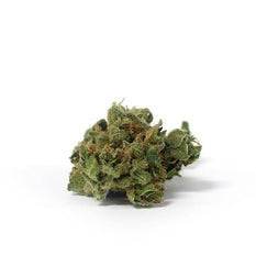Dried Cannabis - SK - Tweed Boaty McBoatface Flower - Format: - Tweed