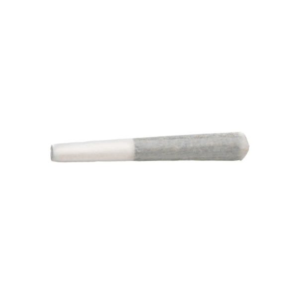 Dried Cannabis - SK - BOLD Root Beer Float Pre-Roll - Format: - BOLD