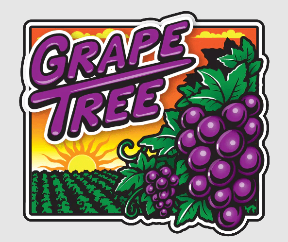 RTL - Rolling Cone Raw Orchard Beach Terpene Infused Grape Tree - Raw