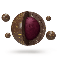 Edibles Solids - SK - Lord Jones Dazzleberry Pop THC Dark Chocolate - Format: - Lord Jones