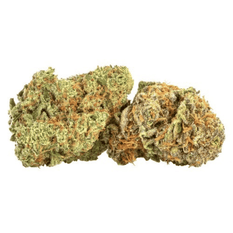 Dried Cannabis - SK - Ness Strawberry Tahoe Flower - Format: - Ness