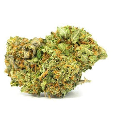 Dried Cannabis - Aurora Chocolope Flower - Format: - Aurora