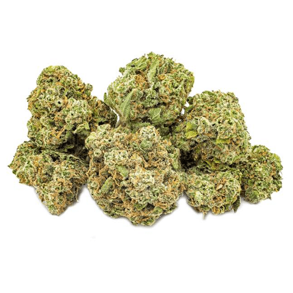 Dried Cannabis - SK - 7ACRES Jack Haze Flower - Format: - 7Acres