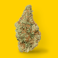 Dried Cannabis - MB - Highly Dutch Organic Rotterdamn OG Flower - Format: - Highly Dutch Organic