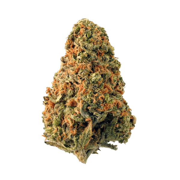 Dried Cannabis - SK - Highland Grow The Leviathan Flower - Format: - Highland Grow