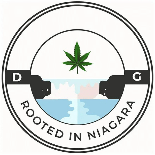 Dried Cannabis - SK - Dykstra Greenhouses Niagara Melon Flower - Format: - Dykstra Greenhouses