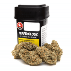 Dried Cannabis - MB - Terpenology Explore the Stars Flower - Format: - Terpenology