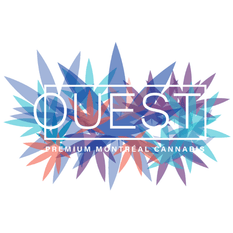 Dried Cannabis - MB - OUEST Heavy Hitting Trio Pre-Roll - Format: - OUEST
