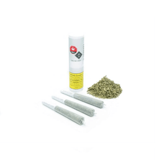 Dried Cannabis - MB - Tantalus Skunk Haze Pre-Roll - Grams: - Tantalus