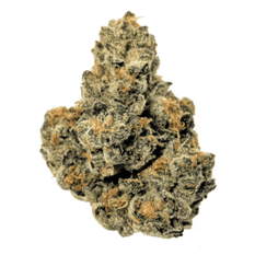 Dried Cannabis - MB - Original Stash Triangle Mints Flower - Format: - Original Stash