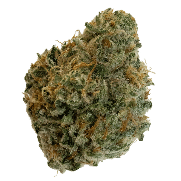Dried Cannabis - MB - Doja Red Fatso Flower - Format: - Doja