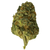 Dried Cannabis - MB - Dykstra Greenhouses Niagara Melon Flower - Format: - Dykstra Greenhouses