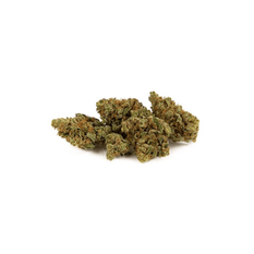 Dried Cannabis - MB - San Rafael '71 Delahaze Flower - Grams: - San Rafael '71