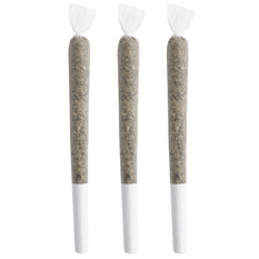 Dried Cannabis - MB - Freedom Cannabis The Nomad Pre-Roll - Format: