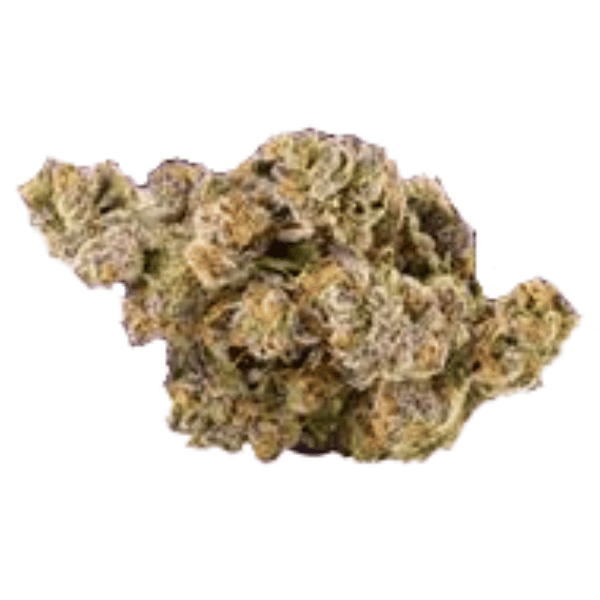 Dried Cannabis - MB - Roilty Sunset Queen Flower - Format: - Roilty