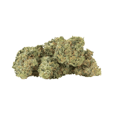 Dried Cannabis - MB - Trailblazer Sour OG Cookies Flower - Format: - Trailblazer