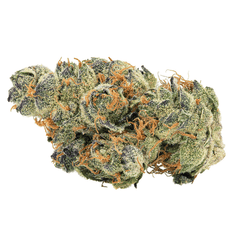 Dried Cannabis - MB - Big Bag O' Buds GMO Cookies Flower - Format: - Big Bag O' Buds