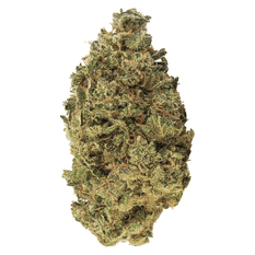Dried Cannabis - MB - Holy Mountain First Class Funk Flower - Format: - Holy Mountain
