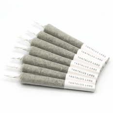 Dried Cannabis - SK - Tantalus Labs Kush Punch Pre-Roll - Format: - Tantalus Labs