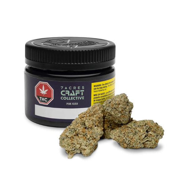 Dried Cannabis - MB - 7ACRES Craft Collective Island Pink Kush Flower - Grams: - 7Acres