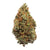 Dried Cannabis - SK - Doja Elation Flower - Format: - Doja
