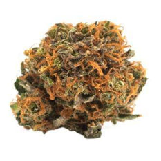 Dried Cannabis - MB - TwD Balanced Flower - Grams: - TwD