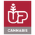 Dried Cannabis - SK - Up Gelato 29 Pre-Roll - Format: - UP
