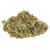 Dried Cannabis - SK - Canaca Alien Guy Flower - Format: - Canaca