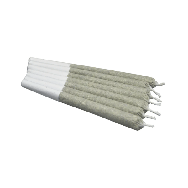 Dried Cannabis - MB - Ouest Bermuda Triangle Pre-Roll - Format: - OUEST