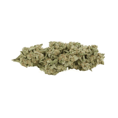 Dried Cannabis - MB - Kolab Project 950 Series Mint Cream Pie Flower - Format: - Kolab Project